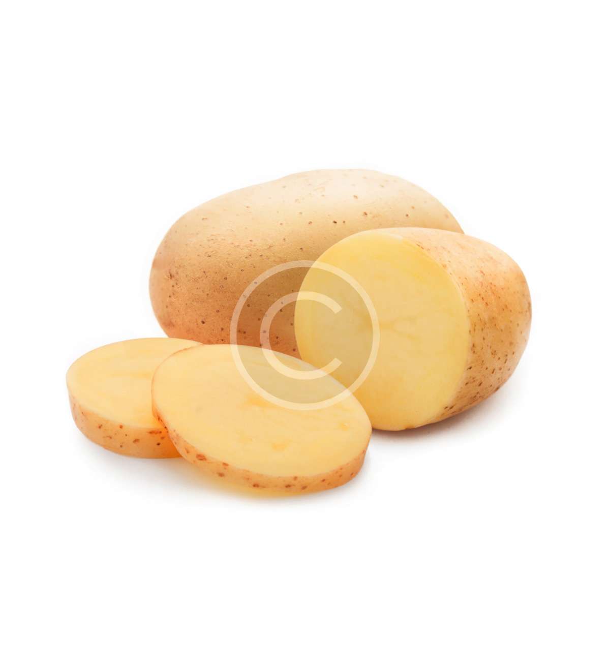 product-image2-copyright